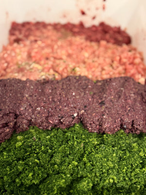 Farm N' Sea Pets brand raw food components; proteins, bones, berries & vegetables before mixing together.