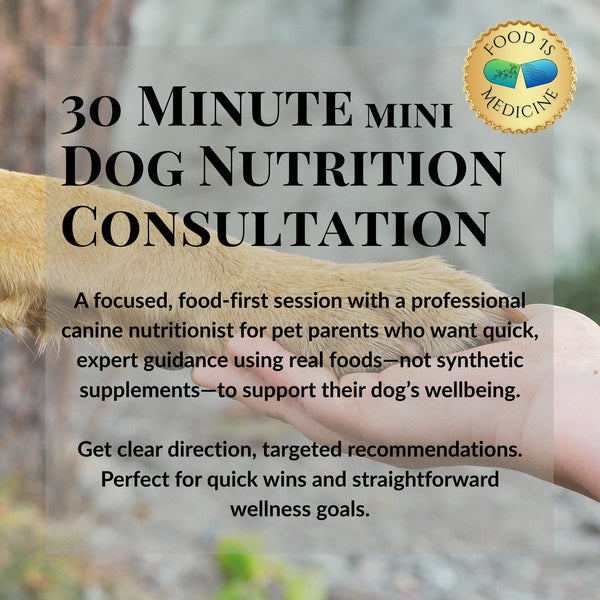 30-Minute Canine Nutrition Mini Consultation