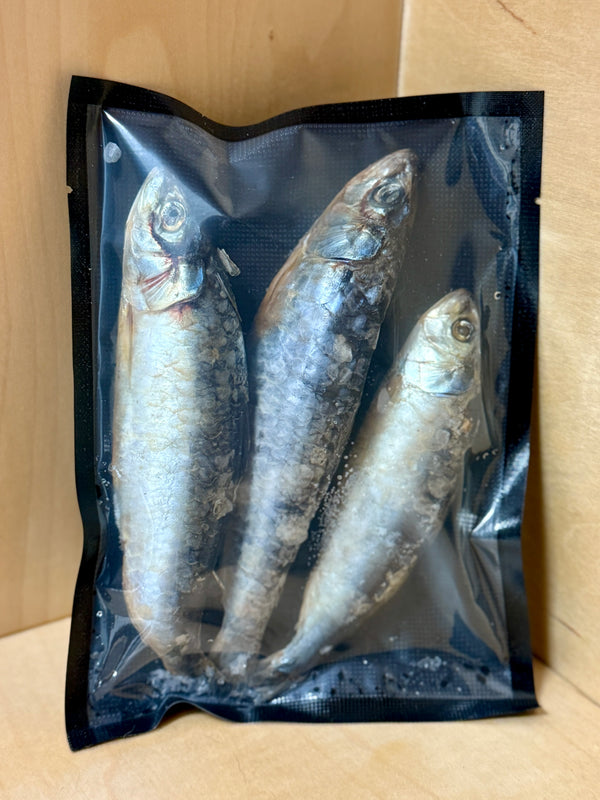 Frozen Raw Portugese Sardines