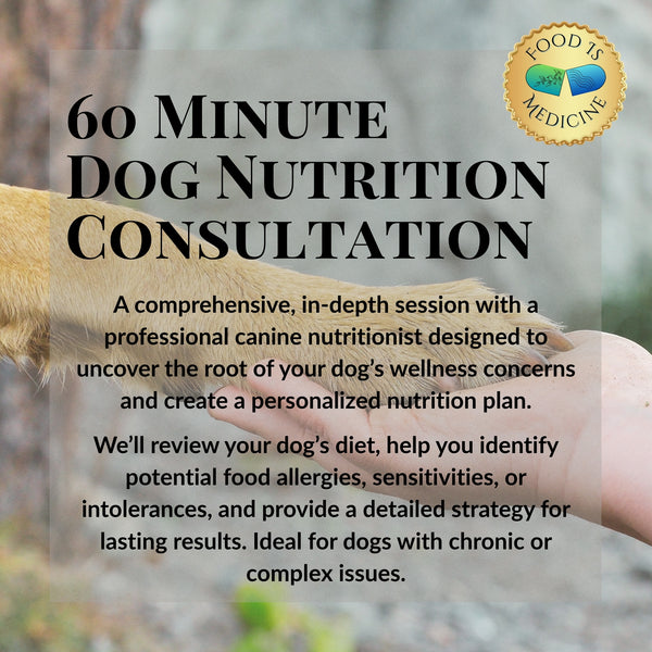 60-Minute Canine Nutrition Consultation
