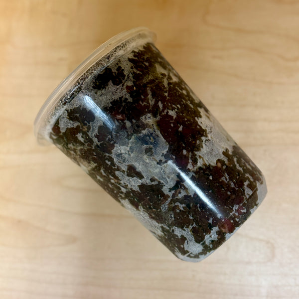 Pork, Chicken & Seafood Foundation Raw Grind For Dogs, Scoop-able Container or Patties