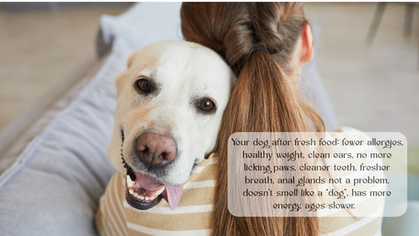 60-Minute Canine Nutrition Consultation