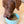 Freeze Dried Raw Food for Dogs - Turkey, Pork & Seafood - Biologically Appropriate