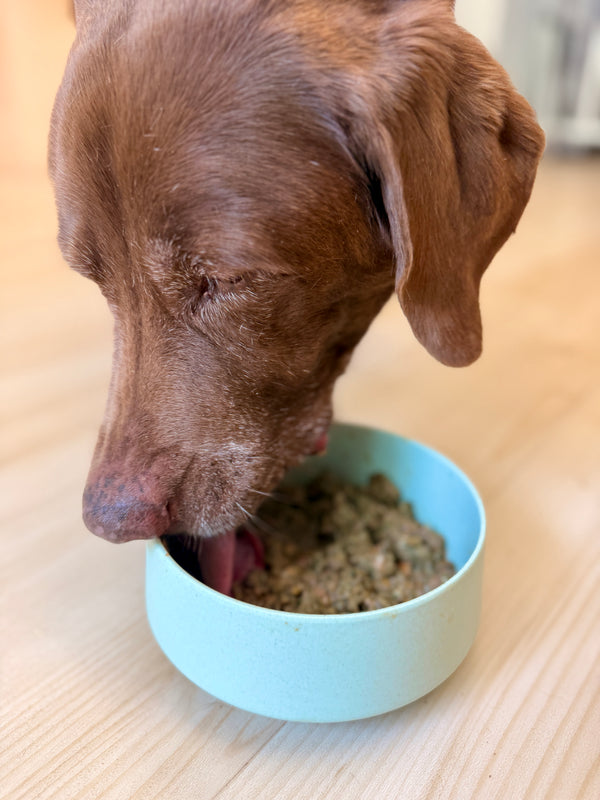 Freeze Dried Raw Food for Dogs - Turkey, Pork & Seafood - Biologically Appropriate
