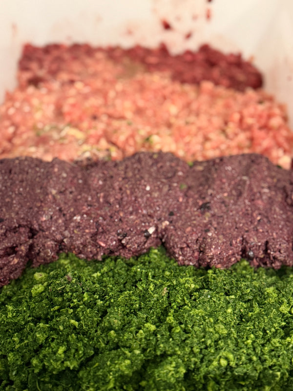 Pork, Chicken & Seafood Foundation Raw Grind For Dogs, Scoop-able Container or Patties