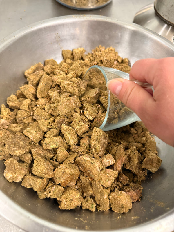 Freeze Dried Raw Food for Dogs - Turkey, Pork & Seafood - Biologically Appropriate