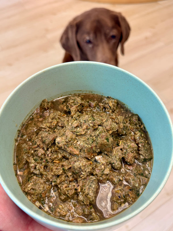 Freeze Dried Raw Food for Dogs - Turkey, Pork & Seafood - Biologically Appropriate