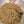 Freeze Dried Raw Food for Dogs - Turkey, Pork & Seafood - Biologically Appropriate