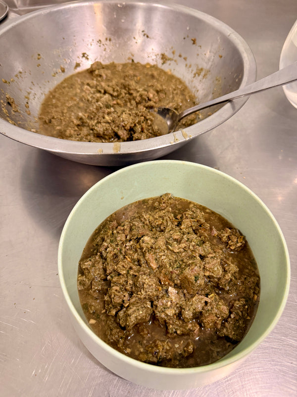 Freeze Dried Raw Food for Dogs - Turkey, Pork & Seafood - Biologically Appropriate
