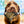 Raw Grind - Pork, Chicken & Seafood Foundation Raw Grind For Dogs in Scoop-able Container or Portioned Patties