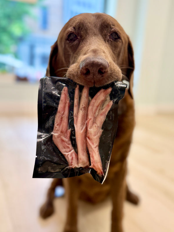 Frozen Raw Duck Feet